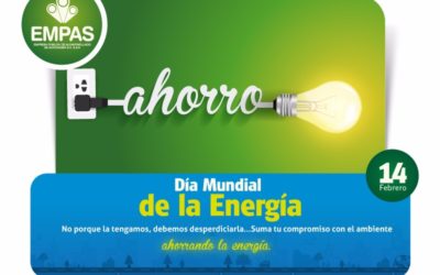 Día Mundial de la Energía