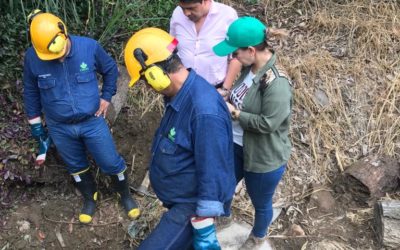 EMPAS realiza limpieza de estructuras